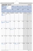 CALENDAR ODD YEAR DEBDEN MONTHTOVIEW 394 X 577MM WIRO