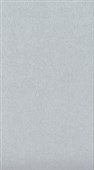 DIRECT PAPER METALLIC PAPER A4 120GSM SILVER PACK 100