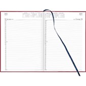 APPOINTMENT DIARY ODD YEAR COLLINS A41A BURGUNDY 2013 EDITION