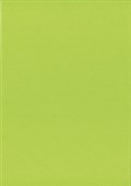 KASKAD COLOURED PAPER A3 80GSM PARAKEET GREEN PACK 500 SHEETS